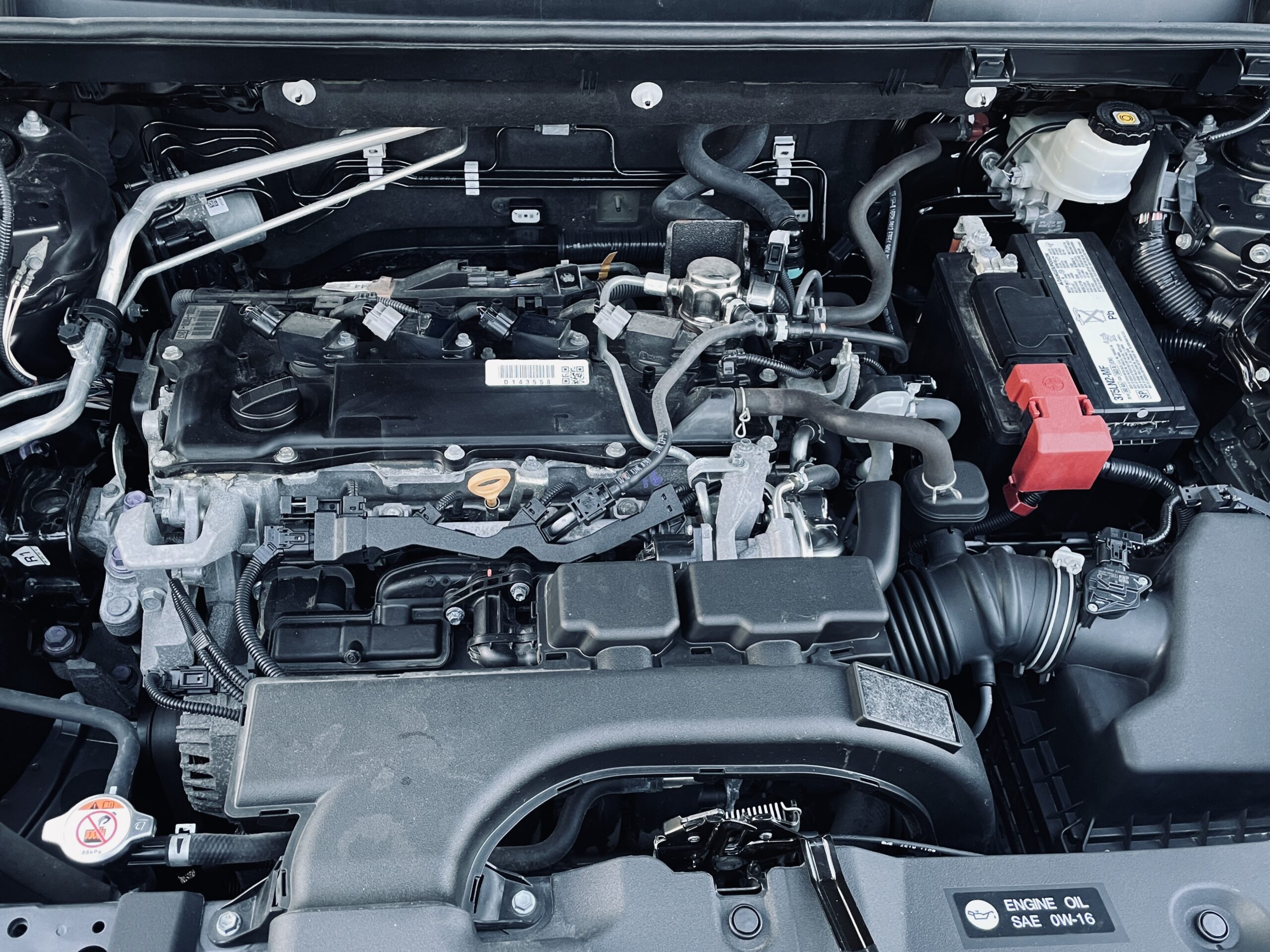 2019 Toyota RAV4 LE FWD SOLD SOLD
