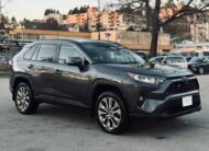 2019 TOYOTA RAV4 XLE AWD sold